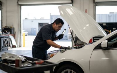 Luxe auto body shop 23 Bird dropping and tree sap paint etching repair in los angeles: body shop decision guide and real costs